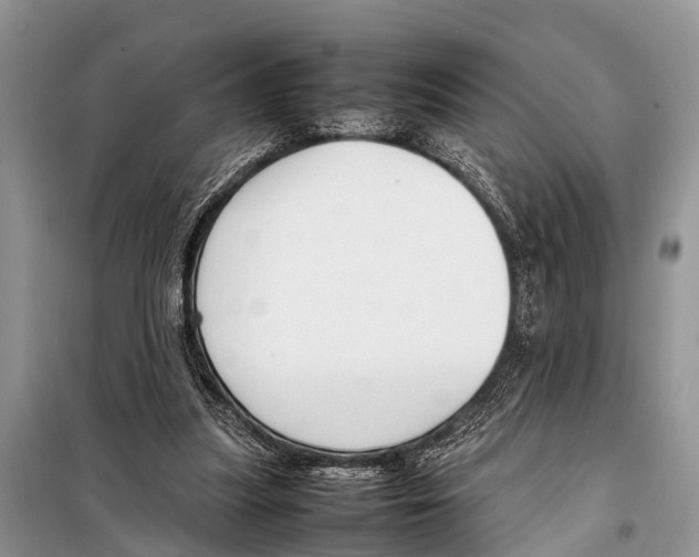 X0000098100251200805021116