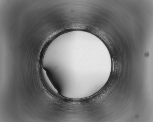 X0000098100252200805021116