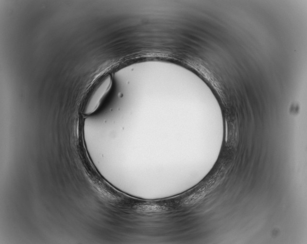 X0000098100253200805021116