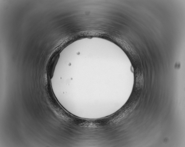 X0000098100254200805021116
