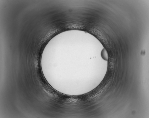 X0000098100255200805021116
