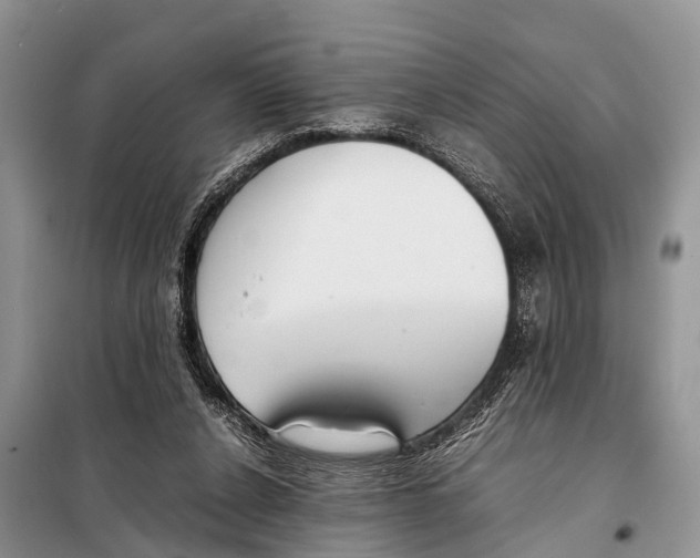 X0000098100256200805021116