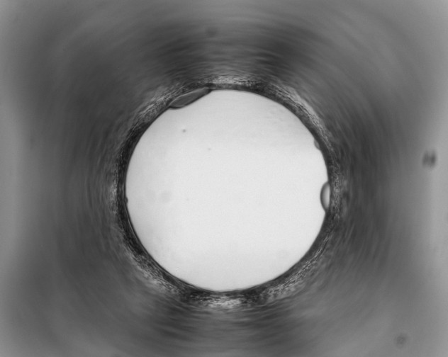X0000098100257200805021116