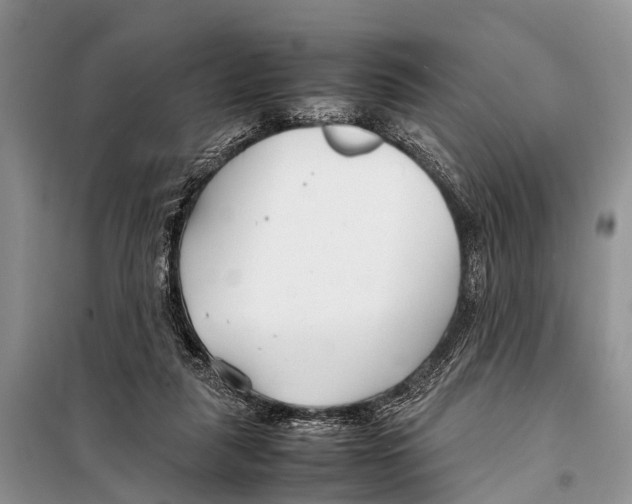 X0000098100259200805021116