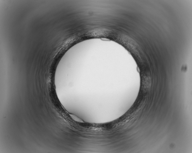 X0000098100260200805021116