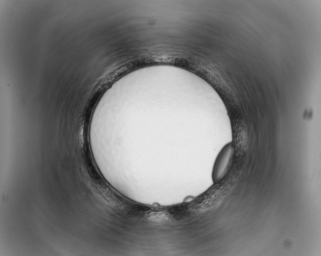 X0000098100262200805021116
