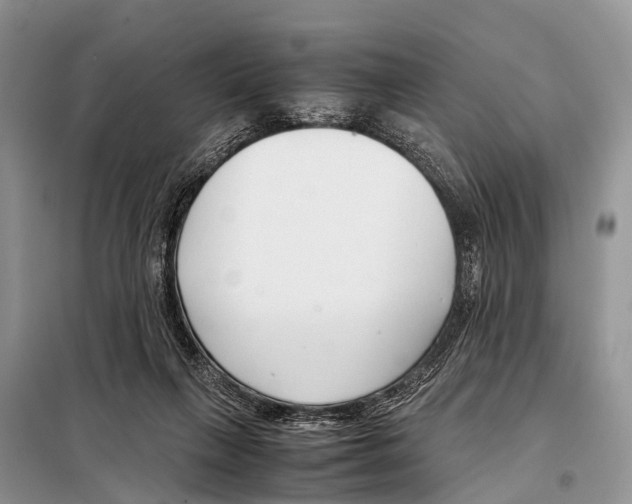 X0000098100263200805021116