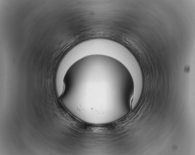 X0000098100268200805021116