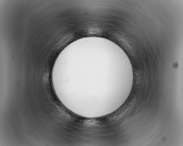 X0000098100269200805021116