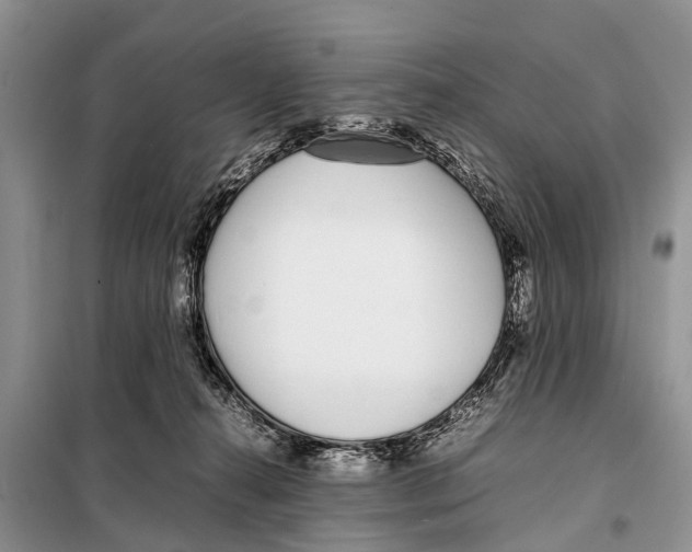 X0000098100272200805021116