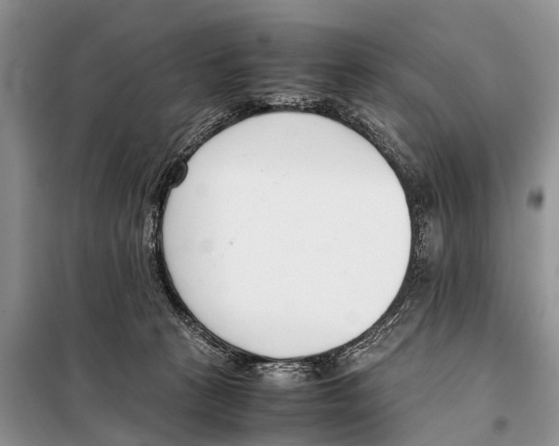 X0000098100273200805021116