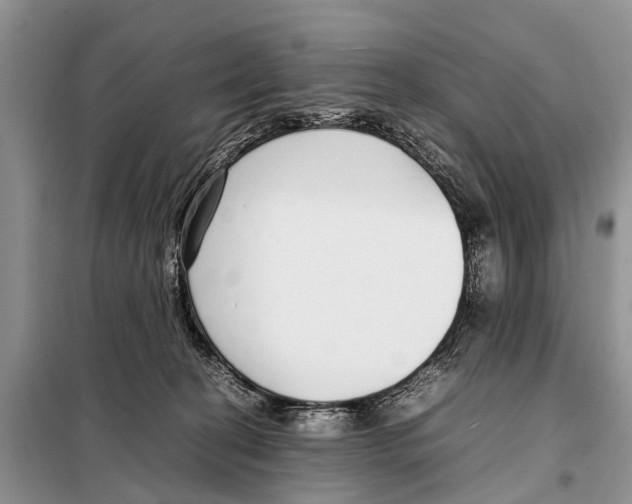 X0000098100274200805021116