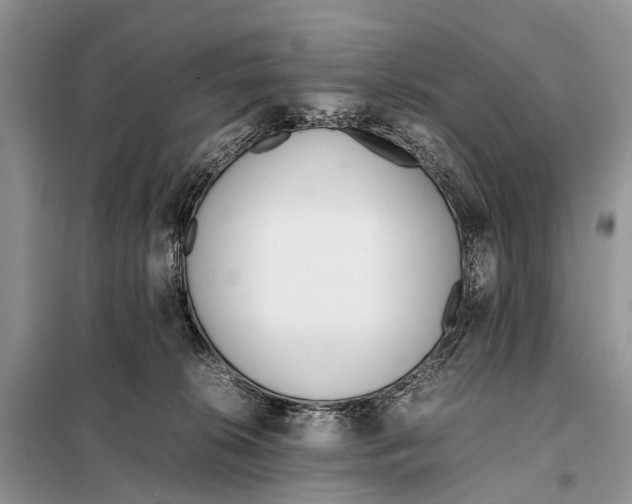 X0000098100276200805021116