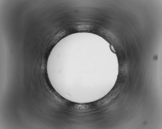X0000098100277200805021116