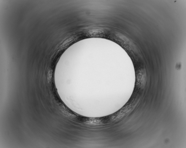 X0000098100278200805021116