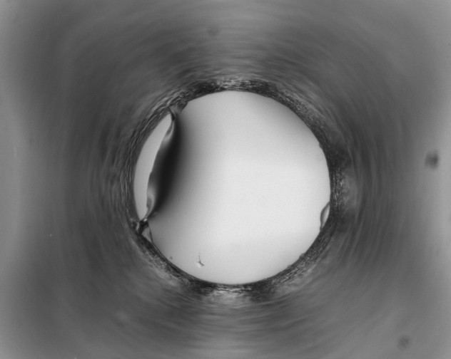 X0000098100280200805021117
