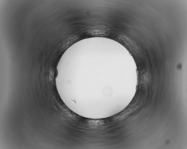 X0000098100281200805021117