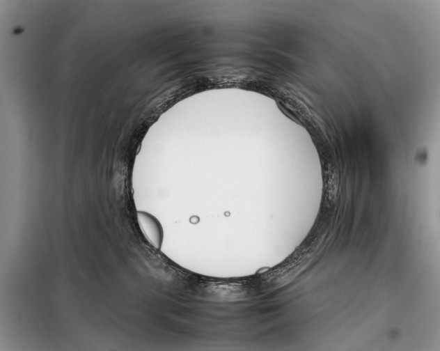 X0000098100283200805021117