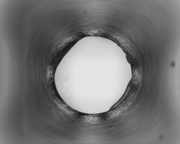 X0000098100284200805021117