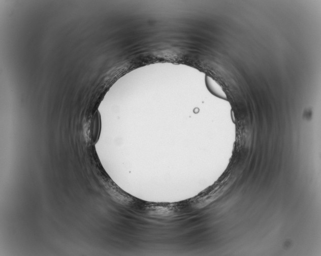 X0000098100285200805021117