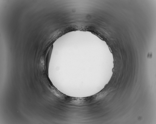 X0000098100288200805021117