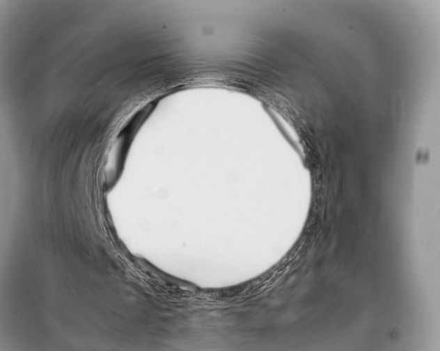 X0000098100289200805021116