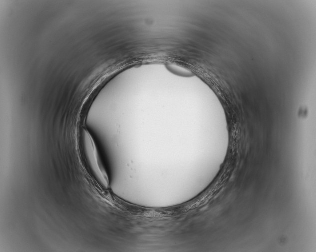 X0000098100290200805021116