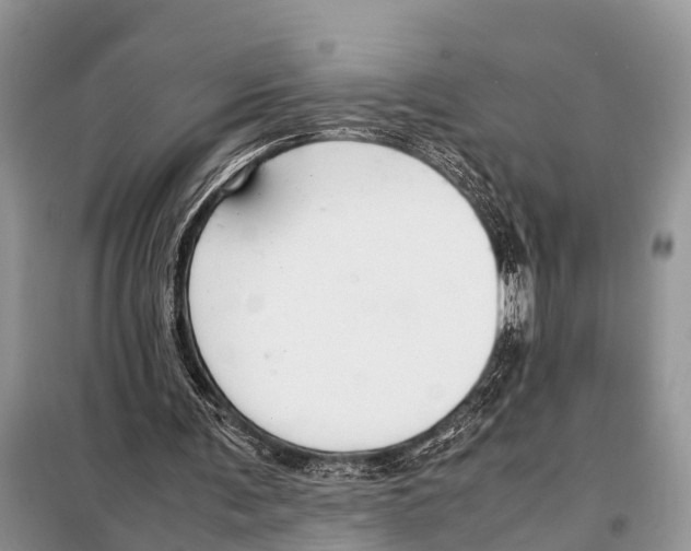 X0000098100291200805021116
