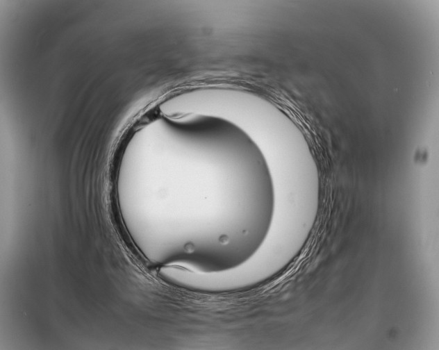 X0000098100293200805021116