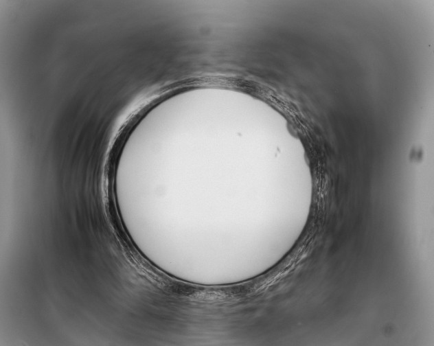 X0000098100294200805021116