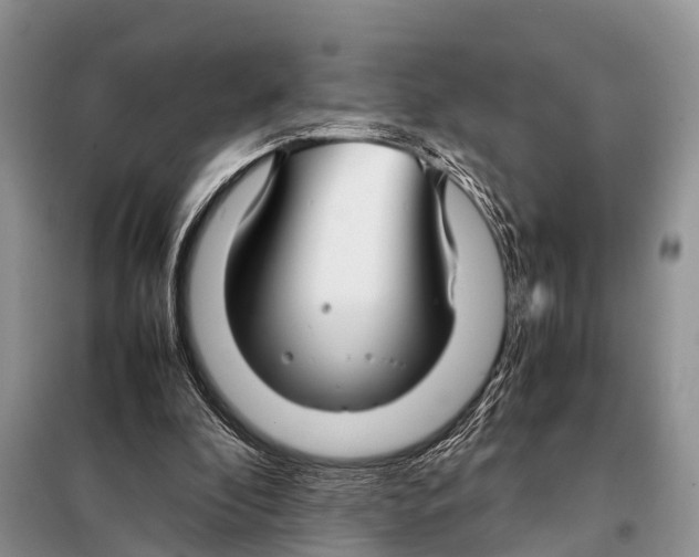 X0000098100296200805021116
