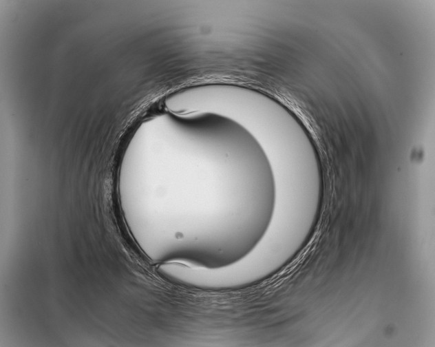 X0000098100297200805021116