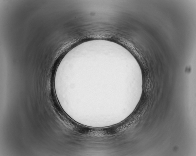 X0000098100299200805021115