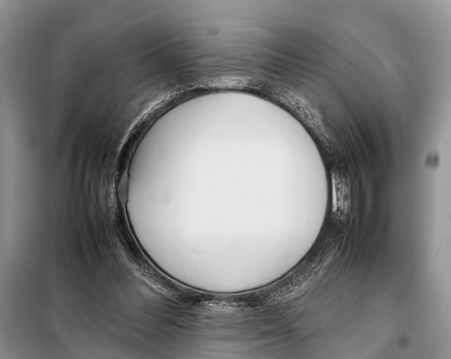 X0000098100300200805021115