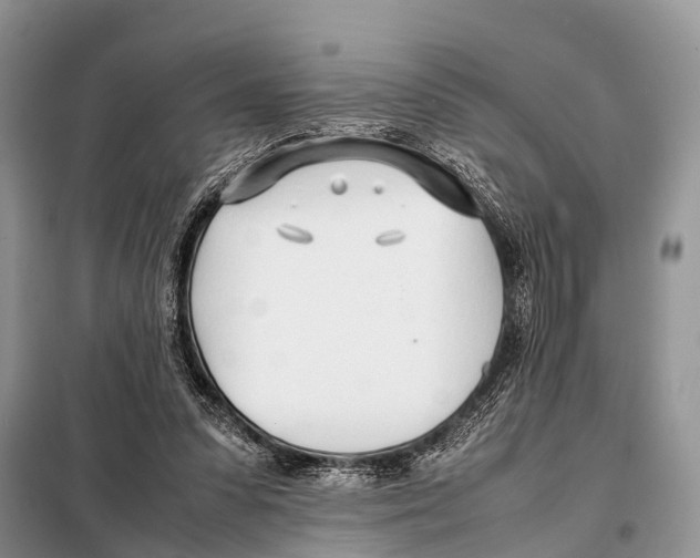 X0000098100303200805021115