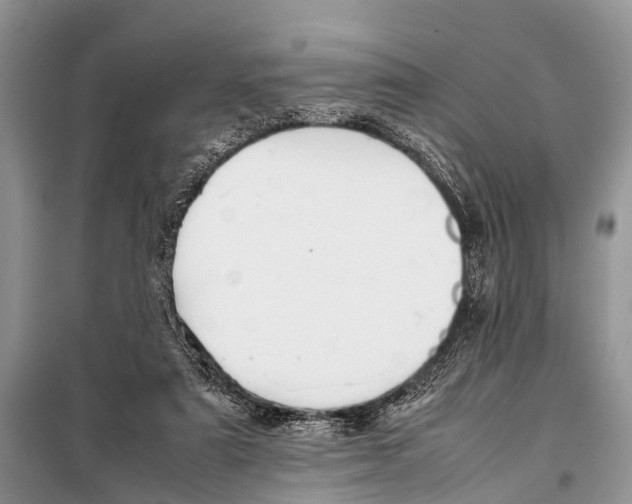 X0000098100307200805021115