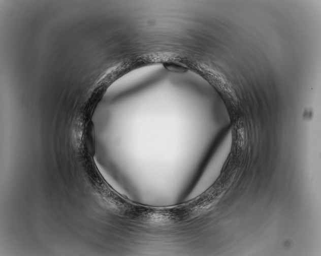 X0000098100308200805021115