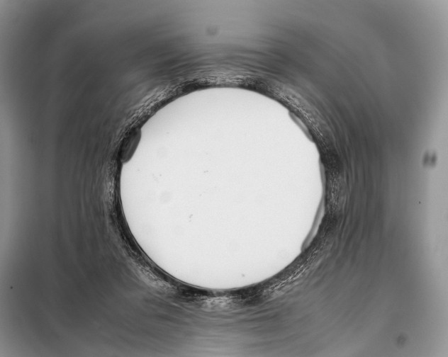 X0000098100309200805021115