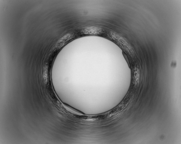 X0000098100312200805021115