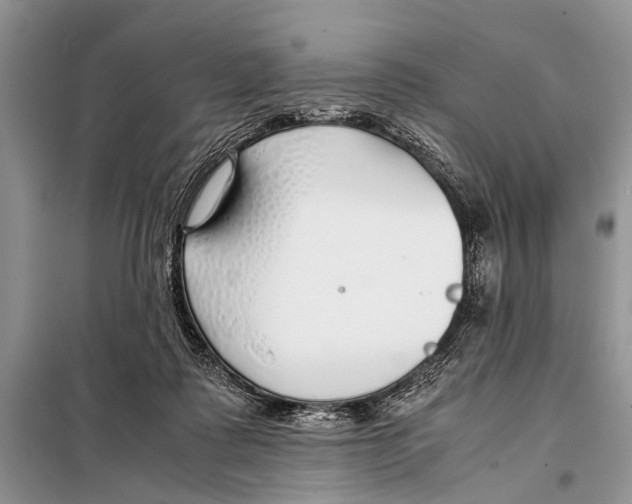 X0000098100315200805021115