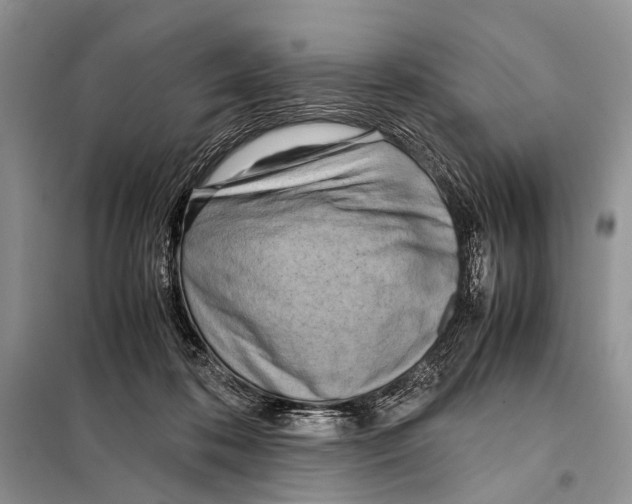 X0000098100316200805021115
