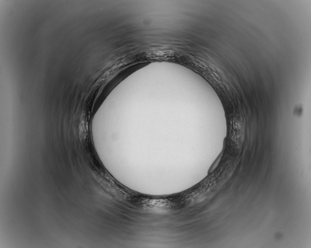 X0000098100324200805021115