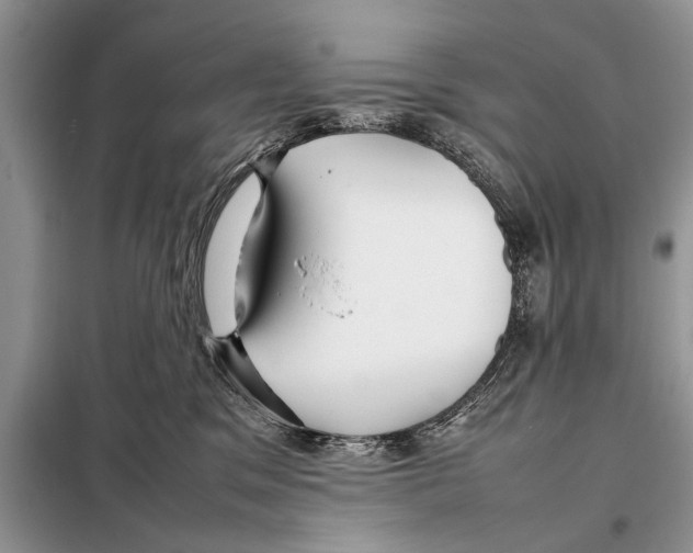 X0000098100329200805021115