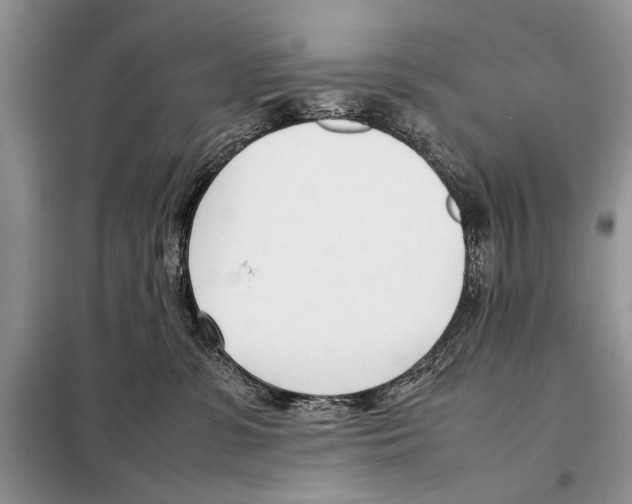 X0000098100331200805021115