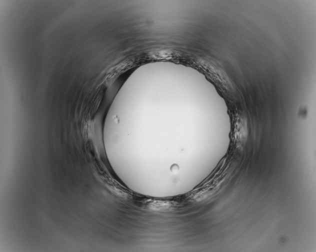 X0000098100332200805021115