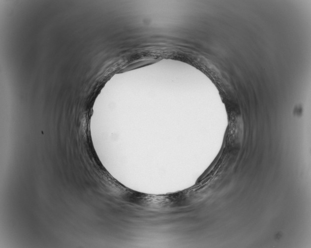 X0000098100333200805021115