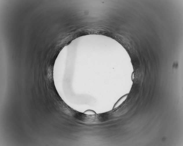 X0000098100335200805021115