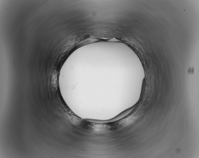 X0000098100336200805021115
