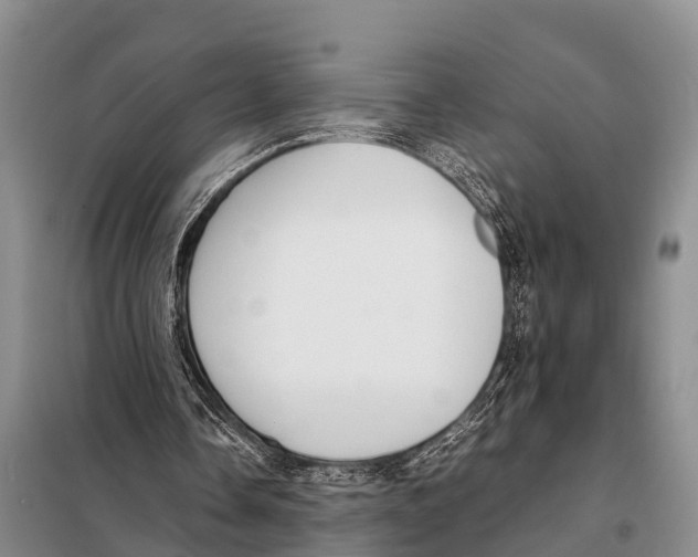 X0000098100338200805021114