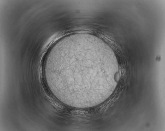 X0000098100339200805021114